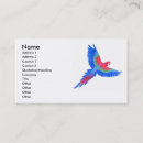 Search for macaws business cards Amazon