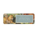 Search for tiger return address labels Big cats