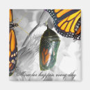 Search for miracles magnets Faith