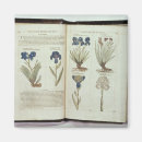 Search for elizabethan magnets 16th