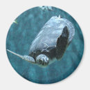 Search for turtle image magnets Sea