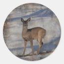 Search for deer valley stickers Animal