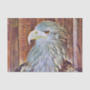 Search for eagle tissue paper Nature