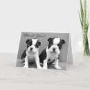 Search for terrier postage Boston