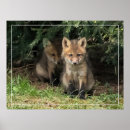 Search for sibling posters Fox