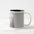 Search for smell mugs Animals