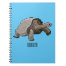 Search for tortoise notebooks Shell