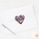 Search for vintage pet stickers Kitty