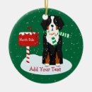 Search for bernese mountain dog christmas tree decorations Berner