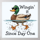 Search for bird cartoons posters Humour