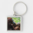 Search for orangutan key rings Baby animals