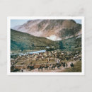 Search for 1899 postcards Photographer