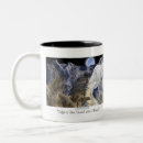 Search for pegasus mugs Pegasi