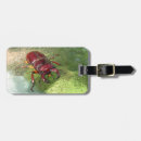 Search for ugly accessories Nature