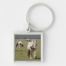 Search for clydesdale key rings Nature