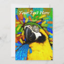 Search for macaws invitations Wild