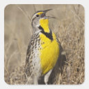 Search for grassland stickers Wildlife