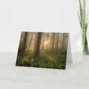 Search for pacific northwest cards Cedar tree
