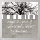 Search for ralph posters Nature