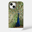Search for peacock iphone cases Photography