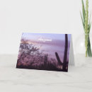 Search for sunset landscape cards Cactus