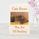 Search for napping cards Cute