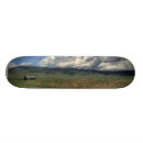 Search for farm skateboards Landscape