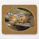 Search for chipmunks electronics Wildlife