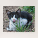 Search for black tuxedo cat puzzles Feline