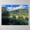 Search for wicklow Irish