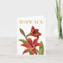 Search for amaryllis christmas cards Botanical