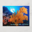 Search for divers postcards Coral