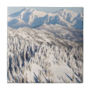 Search for scenic tiles Photography