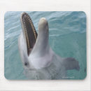 Search for dolphin mousepads Wildlife