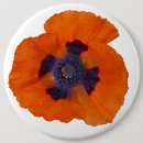 Search for scarlet badges Orange