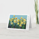Search for daffodil cards Green