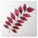 Search for fern tiles Plants