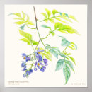 Search for creeper art Vine