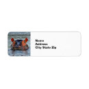 Search for hippopotamus return address labels African animal