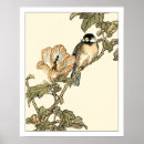 Search for perching bird posters Nature