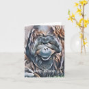 Search for orangutan cards Primates