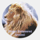 Search for african lion stickers Leo