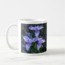 Search for peacock photo mugs Nature photography
