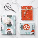 Search for walrus wrapping paper Arctic