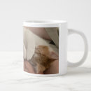 Search for sleeping kitten mugs Pet