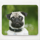 Search for mops mousepads Looking at camera