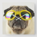 Search for pug clocks Cute