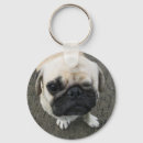 Search for pug humour key rings Pet