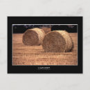Search for harvester postcards Hay
