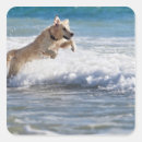 Search for andalusia stickers Outdoors
